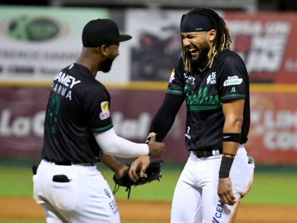 Béisbol profesional dominicano