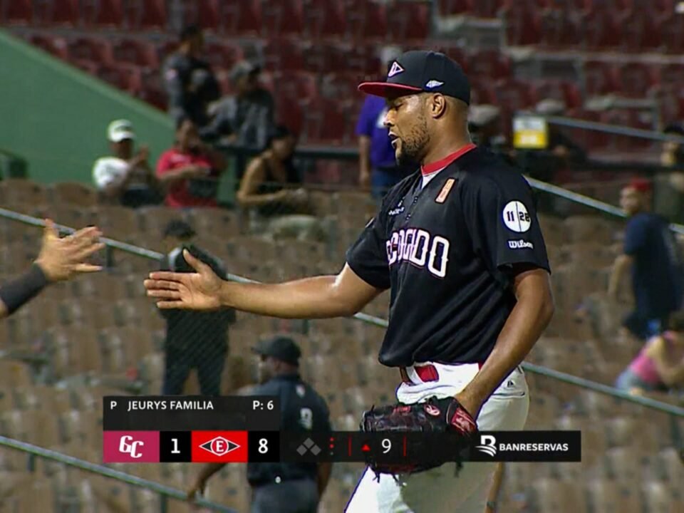 Béisbol de la liga profesional de República Dominicana