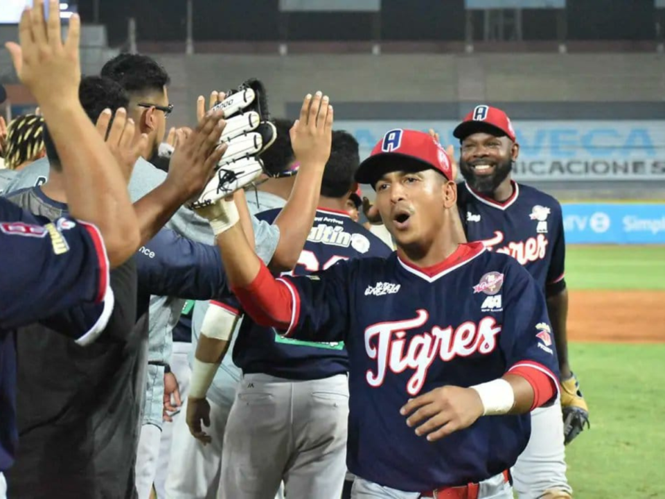 Liga Venezolana de Béisbol Profesional